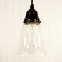 Clear Seeded Shade Glass Pendant Light